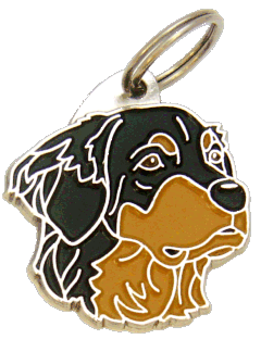 Hovawart <br> (placa de identificação para cães, Gravado incluído)
